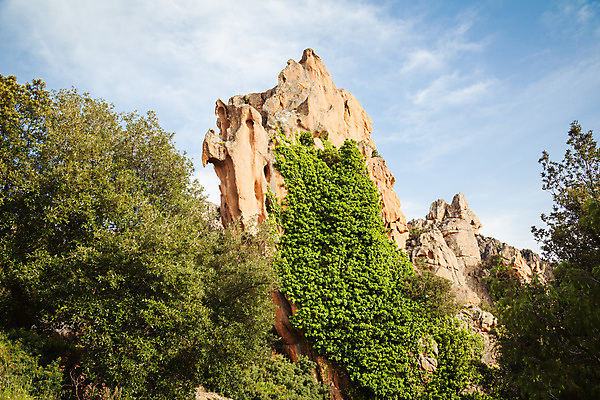 포토 JPG 해외이미지 유럽 바다 섬 여행 자연 하늘 휴가 산 풍경 사람없음 야외 여름 파란색 프랑스 바위 지중해 내추럴 프랑스어 코르시카 해외202004 해외포토 문자 계절 나라 컬러 돌_바위 생태계 파일형식 이미지허브