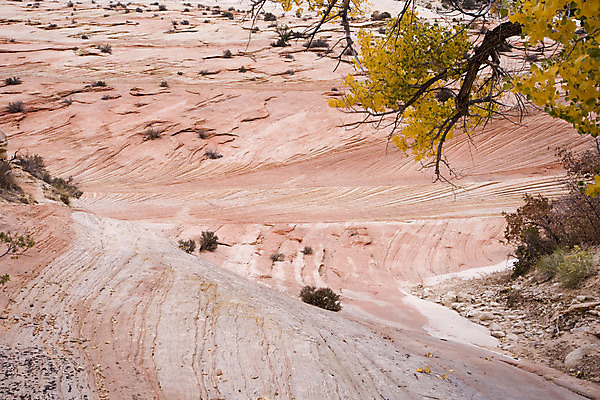 포토 JPG 해외이미지 분홍색 국립공원 사람없음 미국 잔물결 해외202004 해외포토 공원 물결 컬러 북아메리카 파일형식 이미지허브
