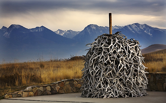 포토 JPG 해외이미지 동물 공원 야생동물 자연 산 뼈 뿔 사람없음 야외 갈색 쌓기 들소 황소 사냥 신발장 엘크 전국 해외202004 해외포토 공공시설 컬러 모션 소 생태계 파일형식 이미지허브