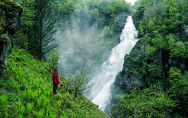 포토 JPG 해외이미지 나무 1 벽 여행 자연 휴가 산 표정 노르웨이 이끼 한명 서기 사람 야외 빨간색 초록색 물 강 여행객 환경 골짜기 계곡 봄 폭포 흐름 에너지 안개 바위 흰색 소나무 개울 황무지 돌산 휴양지 북쪽 깊이 해외202004 해외포토 자연요소 식물 계절 유럽 컬러 컨셉 모션 날씨 장소 돌_바위 방향 생태계 파일형식 이미지허브