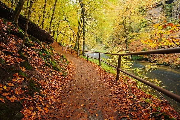 포토 JPG 해외이미지 나무 계절 공원 호수 백그라운드 잎 오렌지 자연 이끼 풍경 사람없음 야외 목재 빨간색 초록색 물 강 컬러풀 노란색 환경 흐름 가을 바위 시골 개울 황금 숲 작음 11월 장면 10월 내추럴 해외202004 해외포토 자연요소 식물 공공시설 컬러 컨셉 과일 재료 돌_바위 날짜 크기 생태계 파일형식 이미지허브