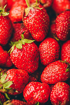 포토 JPG 해외이미지 열매 음식 백그라운드 농업 다이어트 과일 재료 벽지 딸기 디저트 건강 사람없음 빨간색 세로 여름 농작물 농장 쌓기 식사 수확 가을 신선 닫기 아침식사 먹기 묘사 유기농 원예 질감 날것 머리위 흙더미 내추럴 숙성 채식주의자 많음 카피스페이스 비건 해외202004 해외포토 식물 웰빙 계절 산업 컬러 컨셉 모션 취미 흙 공백 채식 파일형식 더미 이미지허브