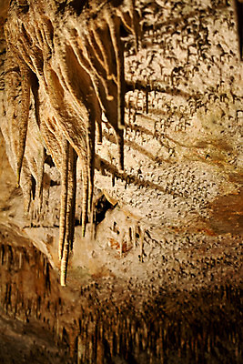 포토 JPG 해외이미지 식물 유럽 섬 여행 패턴 휴가 사람없음 정원 검은색 수확 흰색 용 만 역사 동굴 스페인 복고 엽서 빗물 우표 프랑스어 복잡 석회암 옛날 종유석 해외202004 해외포토 문자 나라 컬러 컨셉 무늬 농업 암석 비_날씨 편지 파일형식 이미지허브