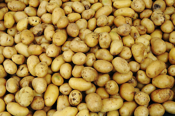 포토 JPG 해외이미지 채소 재료 감자 건강 사람없음 시장 맛 상품 유기농 소매 해외202004 해외포토 웰빙 컨셉 파일형식 이미지허브