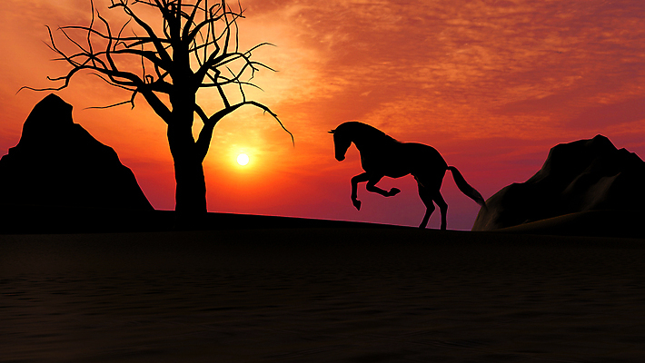 포토 JPG 해외이미지 나무 동물 실루엣 모래 오렌지 일러스트 포유류 모션 자연 하늘 산 풍경 경사 사람없음 야외 달리기 햇빛 태양 농장 노란색 검은색 힘 황혼 일몰 사막 자유 나뭇가지 시골 승마 승차 저녁 땅 암초 갈기 달리기선수 무료 해외202004 해외포토 자연요소 식물 스포츠 컬러 컨셉 농업 과일 촬영기법 노을 야간 생태계 육상선수 파일형식 이미지허브