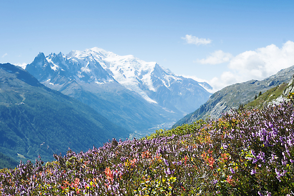 포토 JPG 해외이미지 꽃 유럽 여행 자국 자연 산 풍경 사람없음 여행객 계곡 트래킹 하이킹 프랑스 시골 언덕 알프스 프랑스어 절정 산맥 해외202004 해외포토 식물 문자 나라 레저 사람 생태계 파일형식 이미지허브