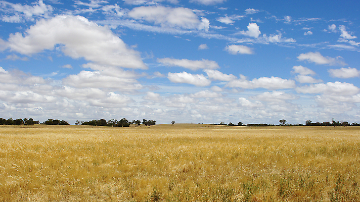 포토 JPG 해외이미지 여행 자연 휴가 파노라마 풍경 사람없음 야외 호주 해외202004 해외포토 촬영기법 오세아니아 생태계 파일형식 이미지허브