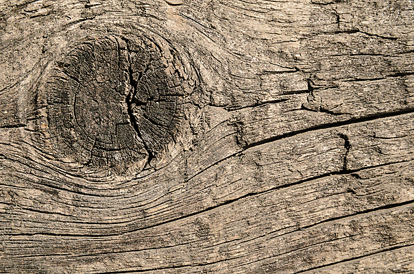 포토 JPG 해외이미지 나무 디자인 벽 가구 백그라운드 패턴 자연 벽지 표면 추상 바닥 사람없음 목재 갈색 어둠 수확 골동품 판넬 널 낟알 자르기 질감 내추럴 그런지 꼬투리 수목 옛날 해외202004 해외포토 식물 컬러 생활용품 무늬 농업 재료 모션 생태계 파일형식 이미지허브