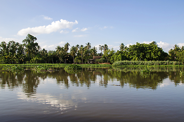 포토 JPG 해외이미지 나무 식물 구름 태국 자연 하늘 파노라마 풍경 사람없음 물 파란색 강 반사 거울 시골 강가 해외202004 해외포토 자연요소 아시아 컬러 촬영기법 생태계 파일형식 이미지허브