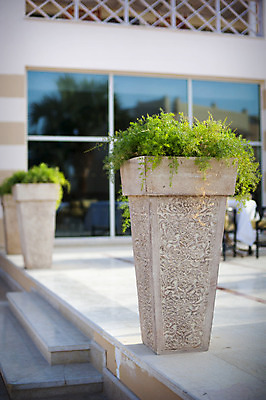 포토 JPG 해외이미지 나무 식물 라이프스타일 공원 벽 건축양식 창문 아프리카 호텔 지붕 주택 손바닥 그림자 잔디 사람없음 야외 건물 햇빛 태양 정원 맑음 기둥 고급 냄비 은퇴 당구 타일 남쪽 옛날 스타일 해외202004 해외포토 자연요소 건축물 손 공공시설 건축 나라 컨셉 숙소 날씨 생활 구기 솥 방향 파일형식 이미지허브