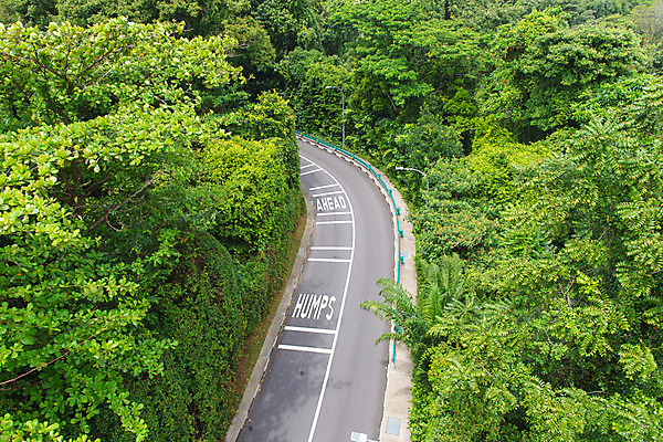 포토 JPG 해외이미지 나무 전통 도로 길 선 여행 무늬 곡선 교통시설 자연 표면 휴가 산 거리 경고 설명 안전 풍경 사람없음 야외 초록색 운전 차도 시골 기록 고속도로 숲 위험 방향 심볼 언덕 사인 속도 신호 장면 느림 굴곡 주목 해외202004 해외포토 식물 컬러 교통 컨셉 모션 시설 생태계 파일형식 이미지허브