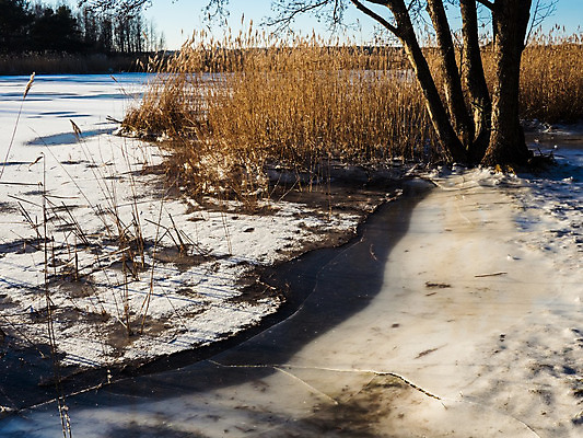 포토 JPG 해외이미지 나무 구름 계절 모래 스포츠 바다 여행 백그라운드 겨울 골프 자연 놀이 하늘 아침 산 그림자 풍경 사람없음 야외 목재 초록색 물 여름 파란색 태양 노란색 냉동 얼음 추위 흰색 시골 모래언덕 서리 러시아 지역 눈내림 수평선 해외202004 해외포토 주간 자연요소 식물 유럽 컬러 재료 눈_날씨 구기 언덕 생태계 파일형식 이미지허브