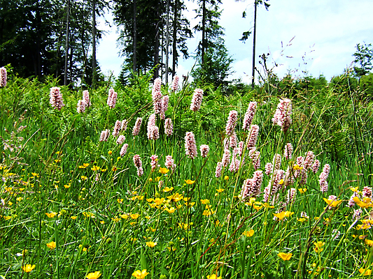 포토 JPG 해외이미지 사람없음 해외202004 해외포토 파일형식 이미지허브