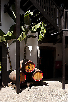 포토 JPG 해외이미지 음료 통 사람없음 목재 와인 마시기 포르투갈 포도나무 양조장 해외202004 해외포토 나무 유럽 재료 모션 주류 과일나무 파일형식 이미지허브