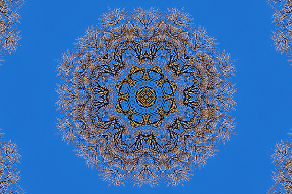 포토 JPG 해외이미지 디자인 꽃잎 꽃 별 백그라운드 겨울 꽃무늬 패턴 자연 추상 사람없음 물 태양 노란색 원형 눈송이 복고 대칭 만다라 만화경 해외202004 해외포토 자연요소 도형 식물 계절 컬러 무늬 눈_날씨 장난감 생태계 파일형식 이미지허브