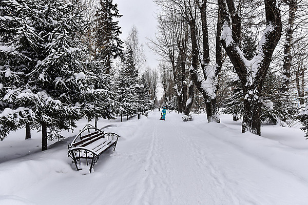 포토 JPG 해외이미지 나무 계절 공원 길 여행 백그라운드 겨울 벤치 자연 날씨 거리 풍경 사람없음 야외 목재 장식 평화 냉동 침묵 산책 추위 흰색 나뭇가지 도시 고독 숲 12월 서리 장면 눈보라 1월 2월 폭설 눈내림 해외202004 해외포토 식물 공공시설 감정 컬러 컨셉 의자 재료 휴식 눈_날씨 소리 날짜 자연재해 생태계 파일형식 이미지허브