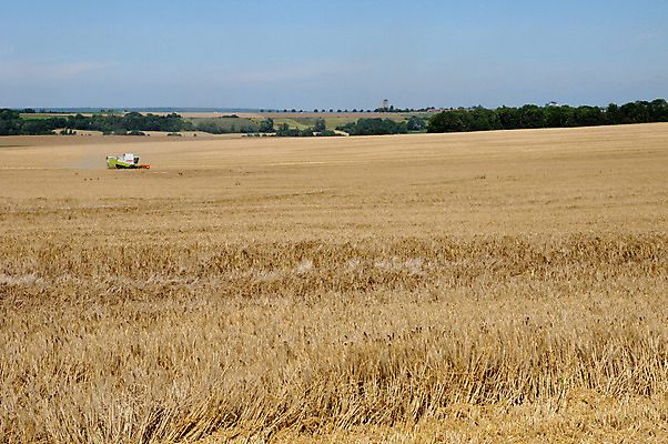 포토 JPG 해외이미지 외관 도로 밭 자연 풍경 사람없음 야외 프랑스 수확 시골 밀 해외202004 해외포토 유럽 길 농업 교통시설 곡류 생태계 파일형식 이미지허브