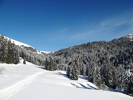 포토 JPG 해외이미지 계절 유럽 겨울 자연 하늘 산 풍경 사람없음 태양 평화 냉동 얼음 추위 흰색 숲 스위스 알프스 절정 눈내림 해외202004 해외포토 자연요소 나라 컬러 컨셉 눈_날씨 생태계 파일형식 이미지허브