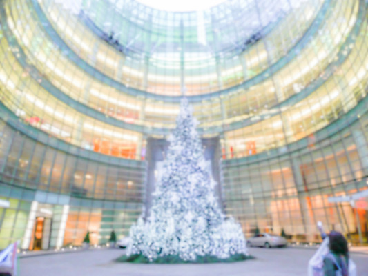 포토 JPG 해외이미지 나무 계절 크리스마스 겨울 비즈니스 공 휴가 기념 사람 풍경 사람없음 내부 장식 빛 쇼핑 세일 상점 축제 축하 도시 센터 시장 구매 군중 야간 12월 쇼핑몰 고객 상업 바쁨 거인 토론토 슈퍼마켓 해외202004 해외포토 자연요소 식물 기념일 컨셉 캐나다 날짜 파일형식 이미지허브