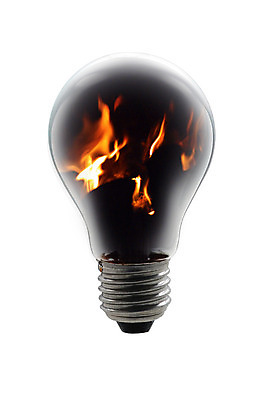 포토 JPG 해외이미지 식물 지구 컨셉 전구 자연 미래 조명 아이디어 건강 사람없음 초록색 글로벌 햇빛 환경 힘 재활용 에너지 성장 흰색 보호 심볼 에코 문제풀이 자원 해결 유지 낭비 혁명 고립 돌봄 발명 생태학 온실 해외202004 해외포토 교육 컬러 모션 태양 친환경 생태계 파일형식 이미지허브