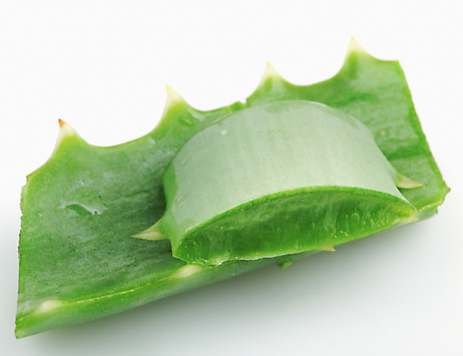 포토 JPG 해외이미지 식물 꽃 줄기 백그라운드 잎 자연 선인장 건강 사람없음 초록색 물 빛 약 우주 주스 화장품 활발 젖음 사막 성장 흰색 신선 가시 닫기 떨어짐 허브 피부 순수 묘사 피부관리 스파이크 고립 넘어짐 돌봄 알로에 억울 해외202004 해외포토 자연요소 감정 음료 컬러 컨셉 의학 모션 신체부위 뷰티 생태계 파일형식 이미지허브