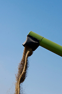 포토 JPG 해외이미지 직업 산업 음식 줄기 밭 농업 옥수수 씨앗 풍경 사람없음 여름 농작물 농장 농경지 기계 장비 수확 가을 시골 업무 결합 낟알 땅 시리얼 밀 장면 트랙터 밀짚 밭일 숙성 호밀 해외202004 해외포토 식물 계절 곡류 작업 짚 농기계 특수차량 파일형식 이미지허브