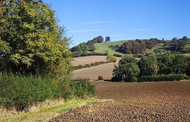 포토 JPG 해외이미지 나무 영어 유럽 밭 하늘 영국 잉글랜드 풍경 사람없음 초록색 여름 농장 농경지 갈색 걷기 하이킹 가을 농촌 시골 언덕 카피스페이스 해외202004 해외포토 식물 문자 계절 나라 컬러 농업 모션 레저 공백 파일형식 이미지허브