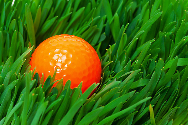 포토 JPG 해외이미지 스포츠 백그라운드 잎 골프 오렌지 공 골프공 취미 사람없음 초록색 새싹 활발 성장 강렬 해외202004 해외포토 식물 컬러 컨셉 과일 골프용품 구기 파일형식 이미지허브