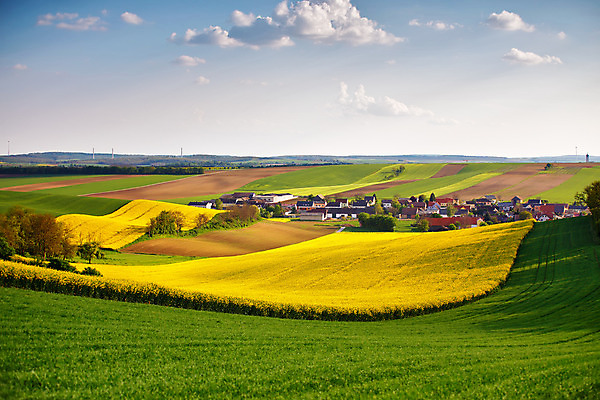 포토 JPG 해외이미지 식물 구름 꽃 유럽 백그라운드 밭 농업 자연 하늘 주택 씨앗 풍경 사람없음 야외 초록색 여름 농작물 햇빛 농장 노란색 마을 환경 맑음 봄 시골 오스트리아 황금 5월 언덕 유채 장면 타운 내추럴 수평선 모라비아 해외202004 해외포토 자연요소 계절 나라 산업 컬러 날씨 건물 태양 도시 날짜 생태계 체코 파일형식 이미지허브