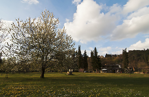 포토 JPG 해외이미지 나무 식물 유럽 잎 밭 자연 주택 풍경 사람없음 야외 초록색 농장 농경지 이탈리아 시골 빌라 언덕 시력 포도밭 장면 밭일 시에나 토스카나 해외202004 해외포토 나라 컬러 농업 건물 생태계 파일형식 이미지허브