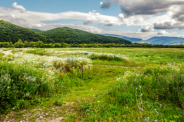 포토 JPG 해외이미지 나무 구름 계절 꽃 밭 자연 하늘 날씨 산 풍경 사람없음 야외 초록색 여름 마을 환경 계곡 시골 신선 숲 언덕 내추럴 해외202004 해외포토 자연요소 식물 컬러 농업 생태계 파일형식 이미지허브