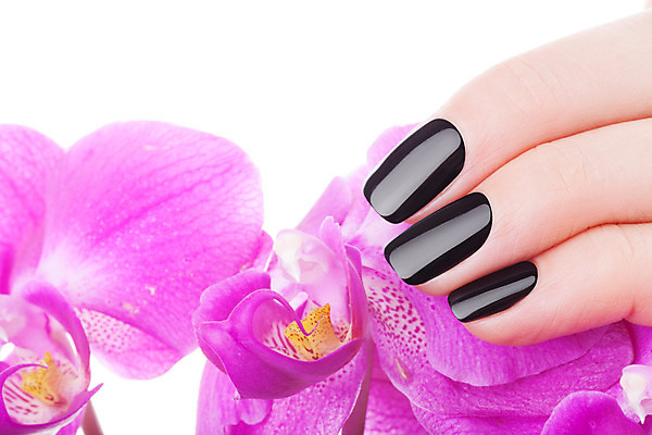 포토 JPG 해외이미지 손 꽃 손가락 관리 미술 이벤트 사람없음 빛 컬러풀 유행 검은색 어둠 화장품 덮개 최고 못 난초 손톱관리 손톱 광택 비닐 개선 니스 돌봄 위생관리 아크릴 스타일 해외202004 해외포토 식물 컬러 모션 재질 문화예술 신체부위 뷰티 뚜껑 공구 네일아트 파일형식 이미지허브