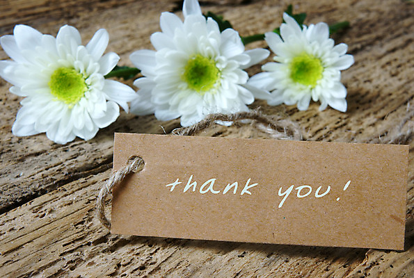 포토 JPG 해외이미지 꽃 백그라운드 프레임 사랑 사람없음 갈색 꼬리표 사각형 감사 레터링 해외202004 해외포토 도형 식물 감정 컬러 라벨 파일형식 이미지허브