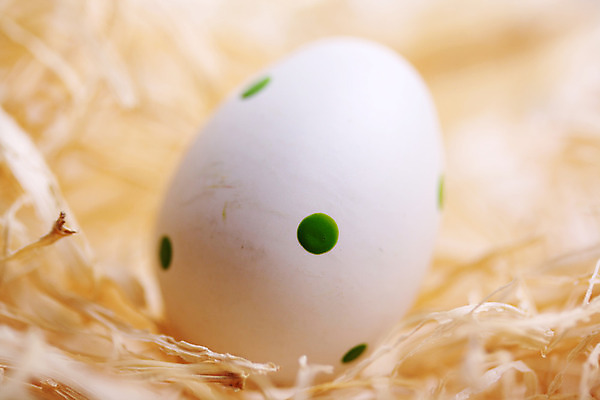 포토 JPG 해외이미지 전통 계절 행복 백그라운드 자연 휴가 부활절 사람없음 장식 초록색 컬러풀 바구니 봄 흰색 축하 그리기 닫기 볏짚 심볼 부활절계란 밀짚 숨김 해외202004 해외포토 기념일 감정 컬러 컨셉 모션 계란 짚 생태계 파일형식 이미지허브