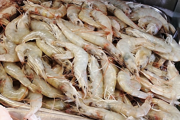 포토 JPG 해외이미지 그릇 새우 어류 요리 사람없음 식사 건강식 해외202004 해외포토 식기 음식 갑각류 수중동물 파일형식 이미지허브