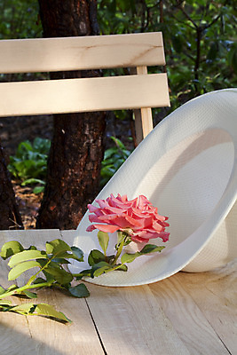 포토 JPG 해외이미지 라이프스타일 여자 꽃 행복 휴식 사람없음 빨간색 장미 화려 우아함 스타일 해외202004 해외포토 식물 감정 컬러 컨셉 사람 생활 파일형식 이미지허브