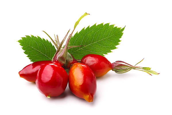 포토 JPG 해외이미지 식물 잎 과일 건강 사람없음 빨간색 흰색 나뭇가지 유기농 내추럴 고립 숙성 해외202004 해외포토 나무 웰빙 컬러 파일형식 이미지허브