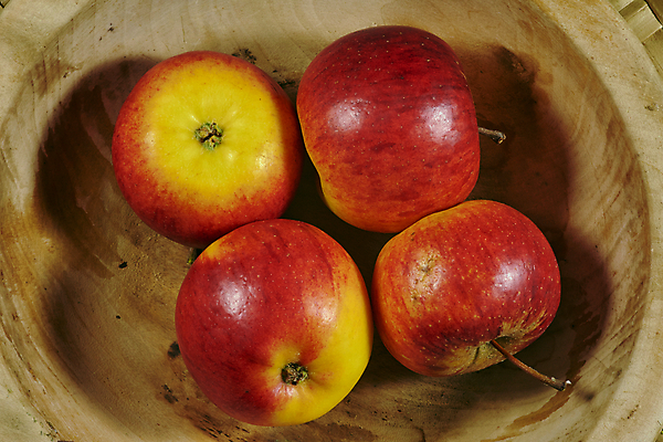 포토 JPG 해외이미지 식물 음식 과일 자연 건강 사람없음 가을 사발 사과 과수원 폴란드 수목 해외202004 해외포토 계절 유럽 농업 사기그릇 생태계 파일형식 이미지허브