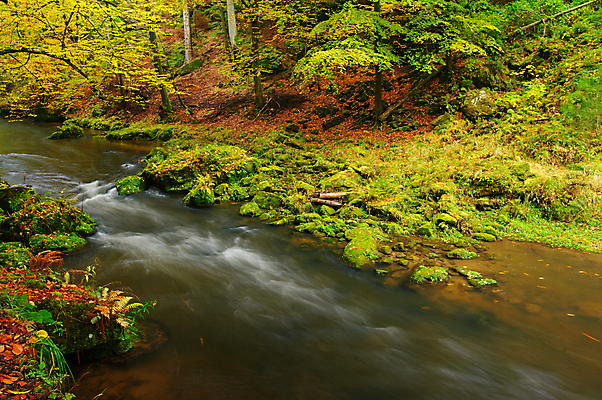 포토 JPG 해외이미지 나무 계절 공원 백그라운드 잎 오렌지 자연 벽지 산 풍경 사람없음 야외 빨간색 초록색 물 강 컬러풀 햇빛 노란색 놀람 새벽 폭포 흐름 가을 바위 개울 황금 숲 장면 내추럴 해외202004 해외포토 자연요소 식물 공공시설 감정 컬러 컨셉 과일 표정 태양 돌_바위 생태계 파일형식 이미지허브