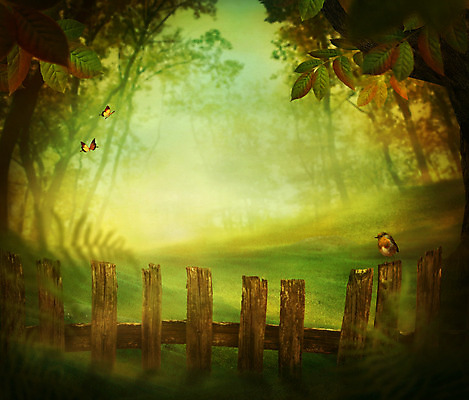 포토 JPG 해외이미지 나무 식물 디자인 계절 공원 길 나비 백그라운드 컨셉 단풍 잎 자연 조류 추상 풍경 사람없음 목재 빨간색 초록색 여름 빛 울타리 햇빛 태양 갈색 노란색 환경 봄 가을 황금 숲 사인 장면 내추럴 카피스페이스 해외202004 해외포토 자연요소 동물 공공시설 컬러 곤충 무늬 재료 담장 공백 생태계 파일형식 이미지허브