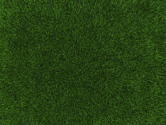 포토 JPG 해외이미지 식물 백그라운드 잎 패턴 밭 자연 추상 풍경 잔디 사람없음 야외 장식 초록색 환경 성장 신선 칼날 땅 허브 질감 내추럴 땅바닥 그리너리 해외202004 해외포토 컬러 무늬 농업 바닥 생태계 파일형식 트랜드컬러 이미지허브