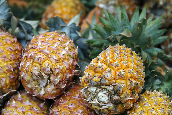 포토 JPG 해외이미지 식물 라이프스타일 음식 조각 백그라운드 다이어트 오렌지 과일 자연 디저트 귤 건강 사람없음 초록색 여름 노란색 주스 흰색 신선 최고 시장 닫기 달콤 맛 묘사 파인애플 오브젝트 상쾌 유기농 질감 날것 하와이 내추럴 고립 숙성 이국적 하와이인 해외202004 해외포토 외국인 웰빙 계절 감정 음료 컬러 컨셉 모션 생활 미국 열대과일 생태계 파일형식 이미지허브