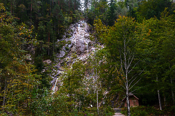 포토 JPG 해외이미지 나무 공원 유럽 여행 모션 자연 휴가 산 국립공원 그림자 풍경 사람없음 야외 목재 물 빛 강 계곡 폭포 캠핑 하이킹 가을 소나무 개울 황무지 숲 알프스 슬로베니아 전국 지질학 화강암 해외202004 해외포토 자연요소 식물 계절 공공시설 교육 나라 재료 레저 암석 생태계 파일형식 이미지허브