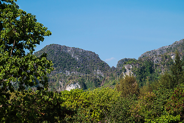 포토 JPG 해외이미지 나무 여행 백그라운드 태국 자연 하늘 산 풍경 사람없음 초록색 여름 파란색 숲 언덕 내추럴 절정 해외202004 해외포토 식물 계절 아시아 컬러 생태계 파일형식 이미지허브