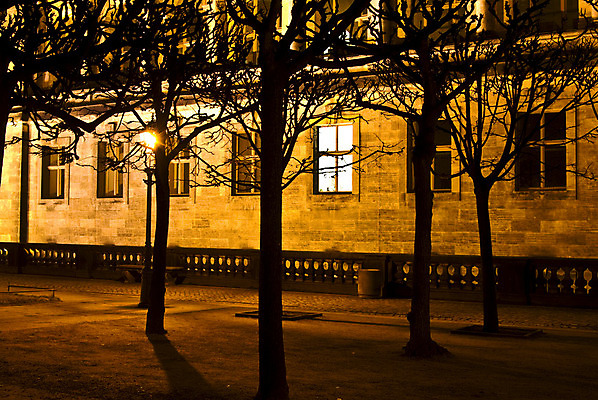 포토 JPG 해외이미지 나무 식물 실루엣 백그라운드 겨울 창문 자연 주택 사람없음 야외 건물 노란색 야간 문학 해외202004 해외포토 자연요소 건축물 계절 컬러 촬영기법 생태계 파일형식 이미지허브