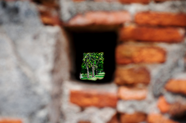 포토 JPG 해외이미지 나무 아시아 종교 문화 선 조각 꽃다발 여행 잎 꽃무늬 불교 가이드 태국 휴가 연꽃 선물 사람없음 조각상 바구니 평화 바위 신선 사찰 생일 영혼 황금 구매 배열 꽃집 명상 만들기 패키지 방문 청동 질서 온라인 리뷰 숭배 신앙심 조언 해외202004 해외포토 식물 직업 기념일 꽃 나라 컨셉 무늬 종교건축 모션 쇼핑 조형물 상점 돌_바위 예절 파일형식 이미지허브