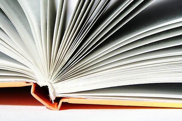 포토 JPG 해외이미지 종이 잎 텍스트 학교 사람없음 책 스터디 독서 기둥 가장자리 도서관 읽기 교과서 문학 페이지 시트 해외202004 해외포토 식물 교육 건축 모션 교재 학습 둘레 파일형식 이미지허브