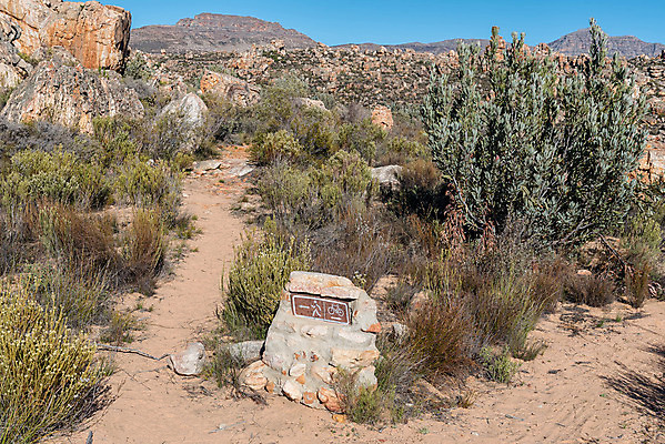 포토 JPG 해외이미지 길 여행 겨울 아프리카 아침 풍경 사람없음 초록색 파란색 햇빛 갈색 맑음 세계문화유산 암석 시골 황무지 관목 사암 남아프리카 보호구역 지질학 해외202004 해외포토 주간 나무 계절 교육 나라 컬러 날씨 태양 문화재 돌_바위 구역 파일형식 이미지허브