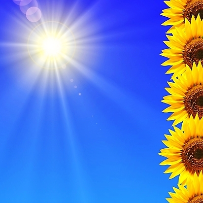 포토 JPG 해외이미지 식물 계절 꽃잎 꽃 컨셉 꽃무늬 자연 하늘 날씨 해바라기 사람없음 여름 파란색 태양 노란색 우주 환경 맑음 힘 봄 에너지 신용카드 개화 내추럴 밭일 카피스페이스 해외202004 해외포토 자연요소 컬러 무늬 금융 공백 생태계 파일형식 이미지허브