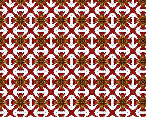 포토 JPG 해외이미지 모양 디자인 꽃 종이 벽 백그라운드 잎 꽃무늬 패턴 곡선 일러스트 자연 벽지 프레임 형상 미술 사람없음 그래픽 장식 컴퓨터 골동품 소용돌이 직물 화려 고급 우아함 실크 두루마리 가득함 그림 질감 복고 정사각형 구식 바로크 빅토리아 엘리먼트 옛날 회복 스타일 해외202004 해외포토 도형 식물 선 컨셉 무늬 문화예술 전자제품 회오리 생태계 파일형식 이미지허브